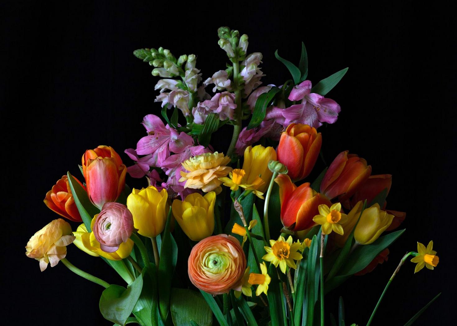 Vibrant spring flower bouquet for Sydney same-day delivery