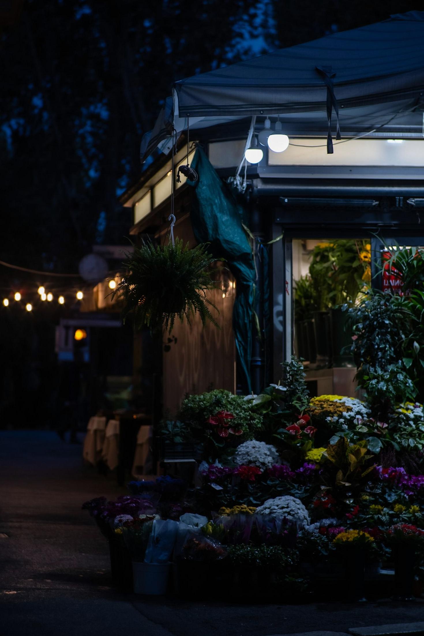 Offerstride Sydney Flower Shop