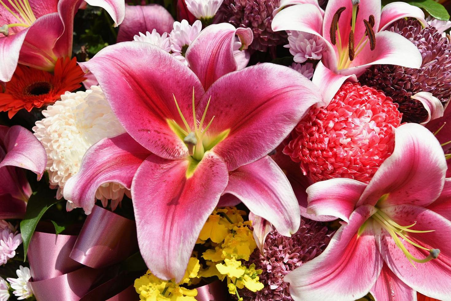 Vibrant bouquet of lilies