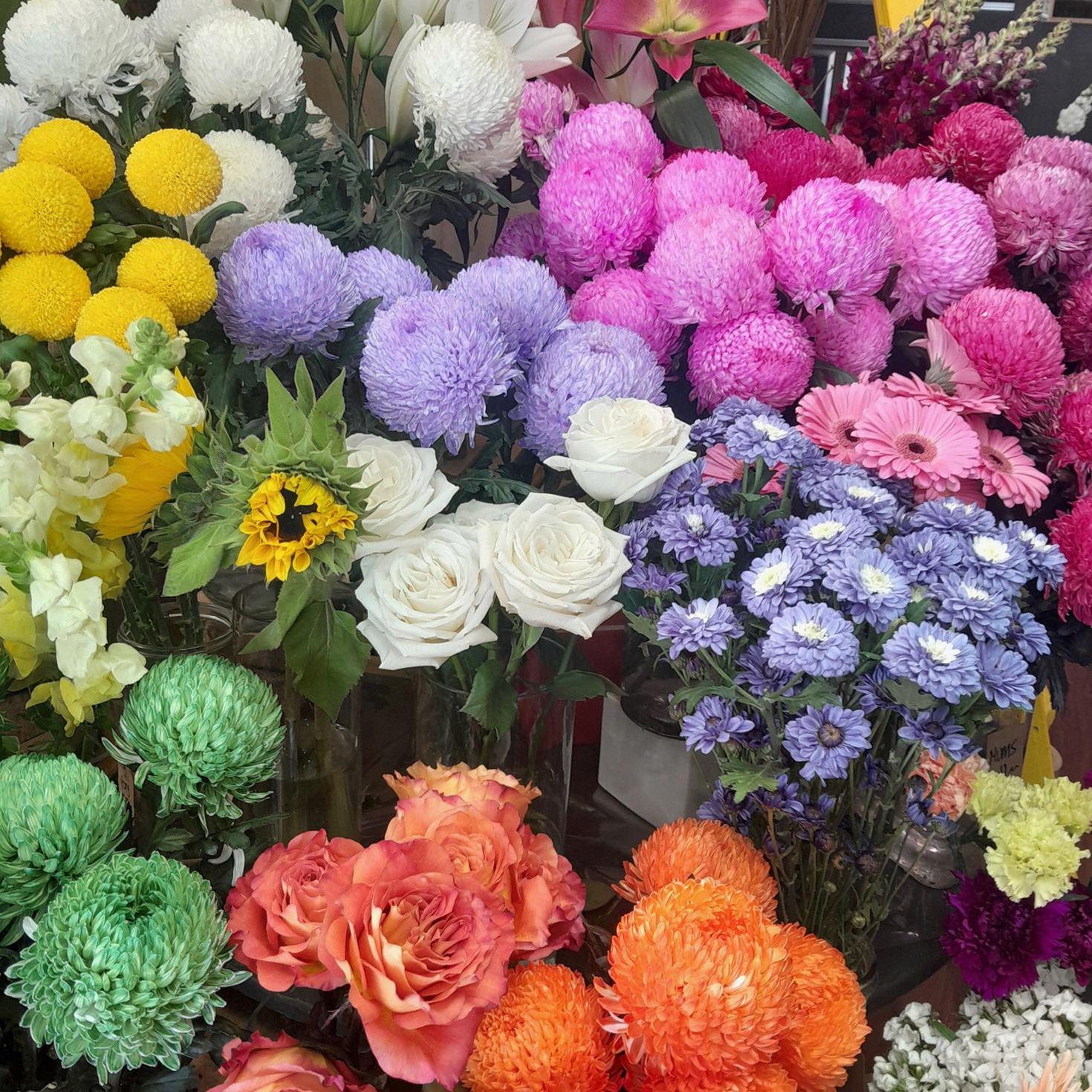Sydney Spring Celebration
