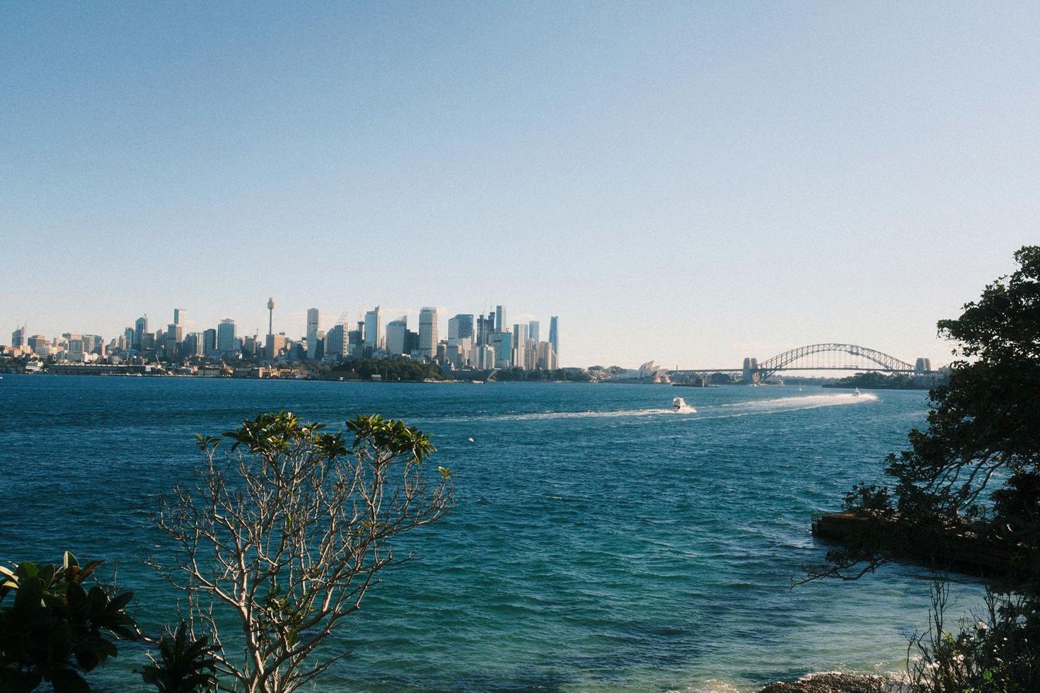 Sydney harbor skyline background