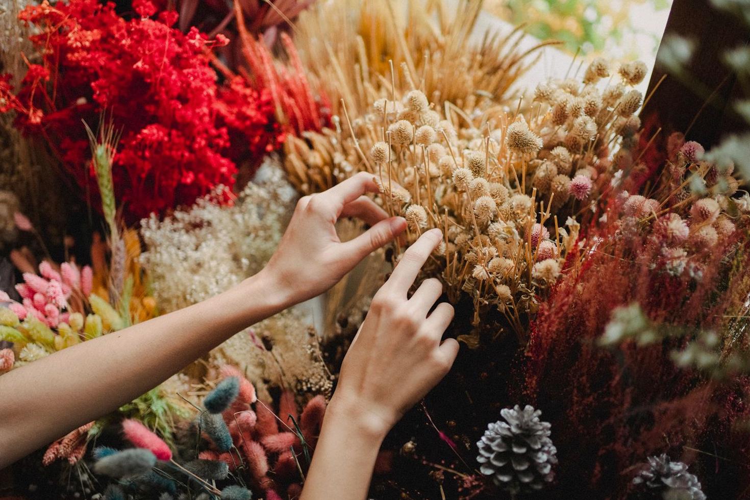 Florist selecting fresh blooms for a custom arrangement