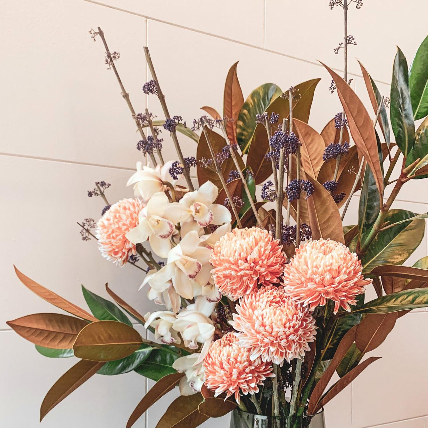 The Classic Orchid Mix